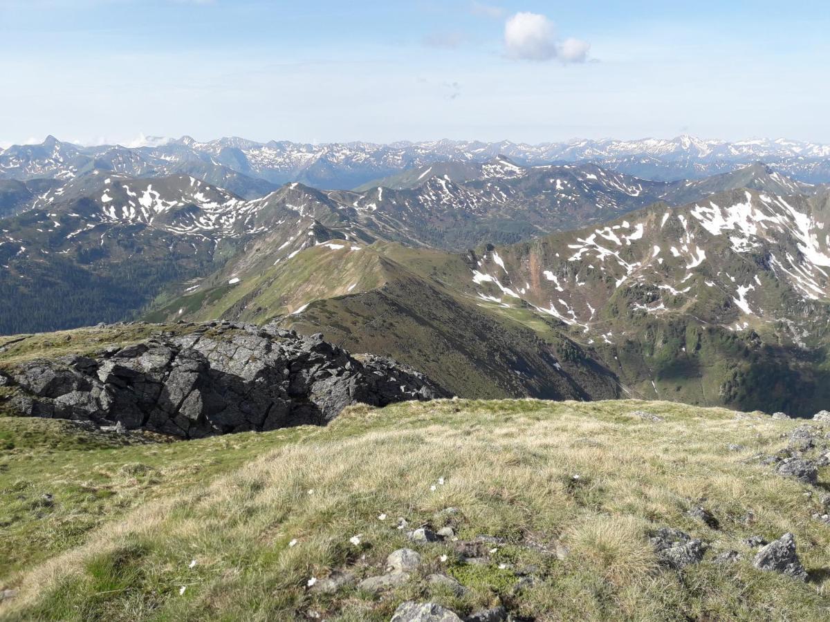 Ferienhaus Berger Aigen im Ennstal Exteriör bild