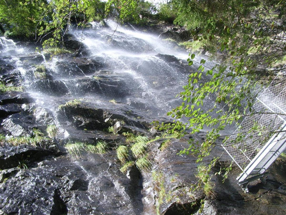 Ferienhaus Berger Aigen im Ennstal Exteriör bild